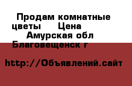 Продам комнатные цветы,  › Цена ­ 1 000 - Амурская обл., Благовещенск г.  »    